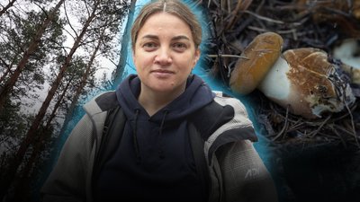 Як люди збирають гриби у лісі: різновиди та небезпека