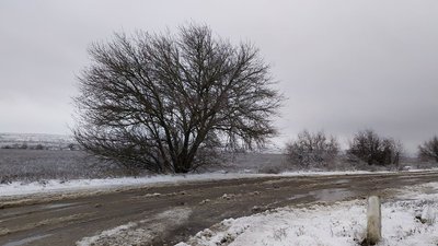 Негода на Миколаївщині. Область перебуває під впливом активного циклону Негода на Миколаївщині. Область перебуває під впливом активного циклону