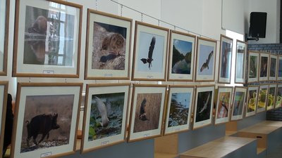 У Запоріжжі відбулася презентація персональної фотовиставки Сергія Козодавова
