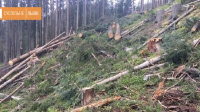 У Сколівському районі місцева громада перекриває дорогу для лісовозів У Сколівському районі місцева громада перекриває дорогу для лісовозів