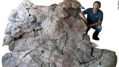 Венесуельський палеонтолог Родольфо Санчес і панцир самця гігантської черепахи. Джерело: Jorge Carirllo Венесуельський палеонтолог Родольфо Санчес і панцир самця гігантської черепахи. Джерело: Jorge Carirllo