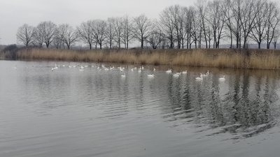 Краматорськ, річка Казенний Торець