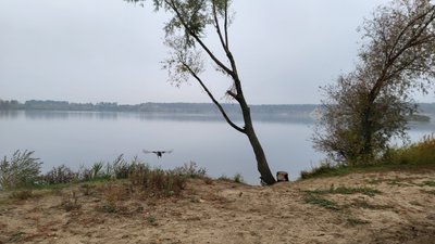 Основ'янське озеро у Харкові