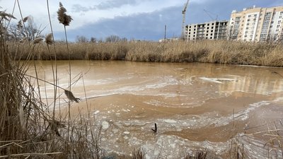 фотодобірка року фотодобірка року