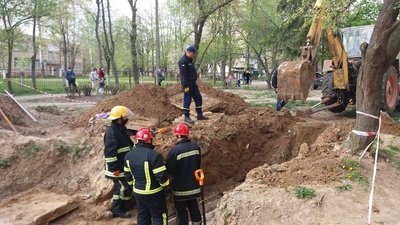 У Луцьку врятували 7 цуценят