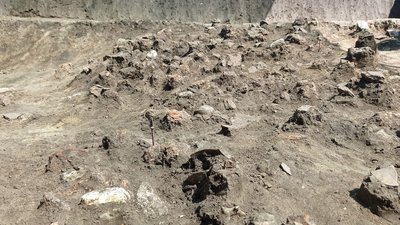Дві тисячі артефактів за два тижні: на Вінниччині тривають розкопки на місці трипільського поселення Дві тисячі артефактів за два тижні: на Вінниччині тривають розкопки на місці трипільського поселення