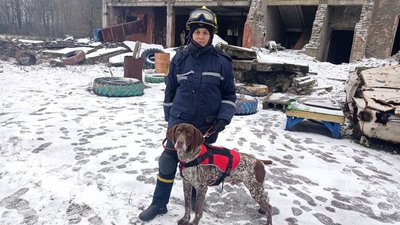 Кінологи Сумщини, які допомагали шукати людей під завалами багатоповерхівки, повернулися з Дніпра Кінологи Сумщини, які допомагали шукати людей під завалами багатоповерхівки, повернулися з Дніпра
