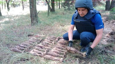 В Олешківських лісах на Херсонщині грибник знайшов 10 мінометних мін, сапери - ще 21
