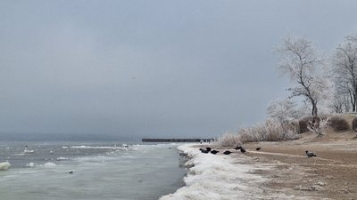 Прогноз погоди в Миколаївській області 28 січня