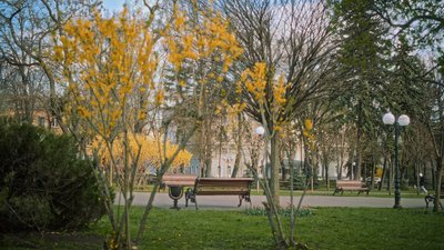 Температурний рекорд зафіксували у Чернігові 29 квітня