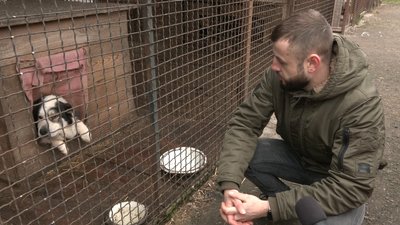 Покинуті собаки: в Черкасах почастішали випадки, коли містяни евакуюються, а своїх домашніх тварин лишають надворі Покинуті собаки: в Черкасах почастішали випадки, коли містяни евакуюються, а своїх домашніх тварин лишають надворі