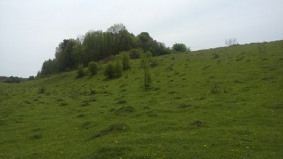 Між двома погорбами, згадують старожили Ювківець, ще до Другої світової війни стояла мечеть. Між двома погорбами, згадують старожили Ювківець, ще до Другої світової війни стояла мечеть.