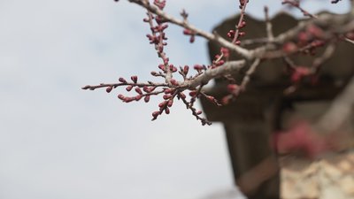 Погода на 4-6 квітня