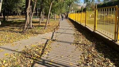Доріжка у парку Шевченка у Чернівцях
