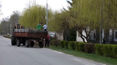 У Новгороді-Сіверському люди вийшли на толоку, щоб відновити 100-літню базу відпочинку У Новгороді-Сіверському люди вийшли на толоку, щоб відновити 100-літню базу відпочинку