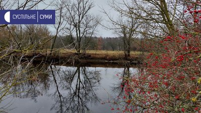 "Через вогонь над водою" - історія уродженки Сумщини, яка емігрувала під час війни до Нової Зеландії "Через вогонь над водою" - історія уродженки Сумщини, яка емігрувала під час війни до Нової Зеландії