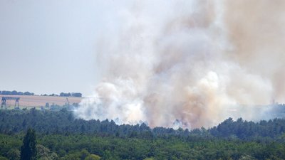 У Запоріжжі на острові Хортиця горів сосновий ліс