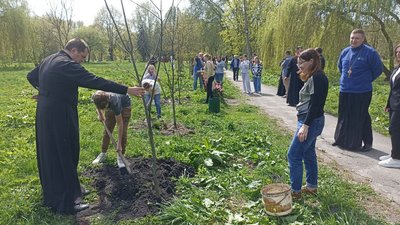 парк Сопільче парк Сопільче