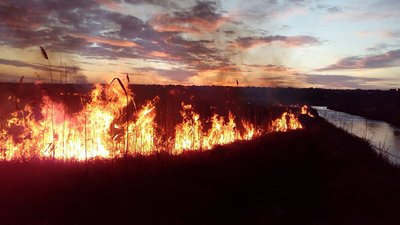 На Миколаївщині горів очерет На Миколаївщині горів очерет