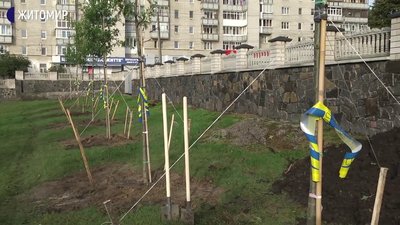 У Житомирі на військовому кладовищі висадили 28 дубів в пам'ять про загиблих військових У Житомирі на військовому кладовищі висадили 28 дубів в пам'ять про загиблих військових