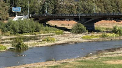 Чому міліють річки Закарпаття та як це впливає на водойми
