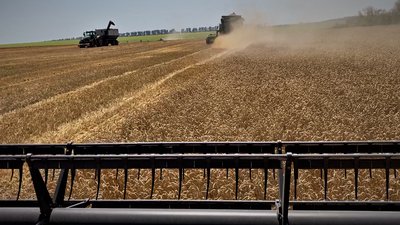 жнива харківська область жнива харківська область