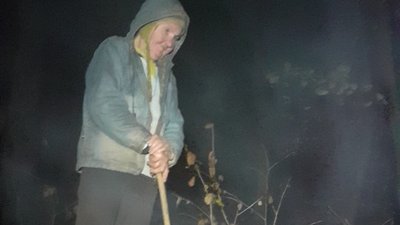 Заблукала у лісі Заблукала у лісі