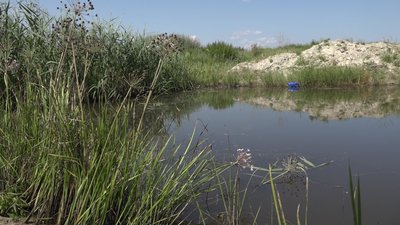 Двоє братів пішли по воду до ставка і потонули: обставини загибелі хлопчиків на Менщині Двоє братів пішли по воду до ставка і потонули: обставини загибелі хлопчиків на Менщині