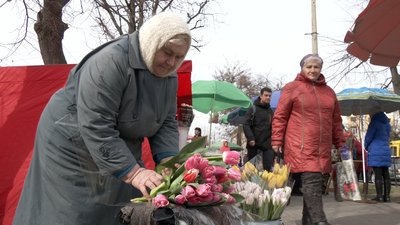 У центрі Черкас запрацював квітковий ярмарок У центрі Черкас запрацював квітковий ярмарок