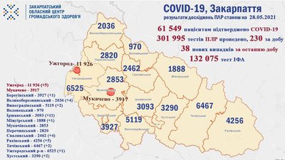 На Закарпатті за добу зафіксували 38 випадків COVID-19 На Закарпатті за добу зафіксували 38 випадків COVID-19