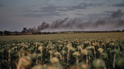 Атака на Чернігівщину: через атаку дронів пошкоджене житло, горіли дрова та суха трава