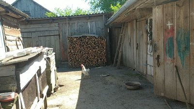 У селі на Хмельниччині люди живуть у дерев’яних будинках та без мобільного зв'язку У селі на Хмельниччині люди живуть у дерев’яних будинках та без мобільного зв'язку