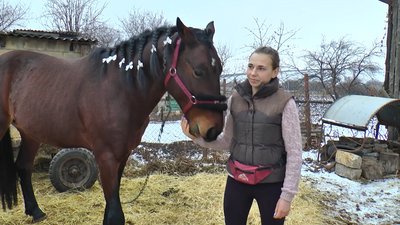 "Деяких дітей не можемо відтягнути від коня". На Донеччині іпотерапією лікують дітей "Деяких дітей не можемо відтягнути від коня". На Донеччині іпотерапією лікують дітей