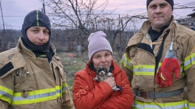 Цуценя впало в яму Одещина
