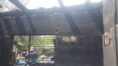 В Одесі під час пожежі в притулку для тварин врятували 40 котів та 350 собак