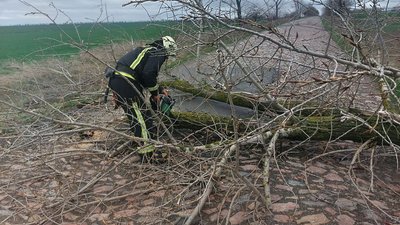 Через штормовий вітер на Кіровоградщині вийшли з ладу дві лінії електропередач Через штормовий вітер на Кіровоградщині вийшли з ладу дві лінії електропередач