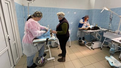 Підсумки 2023 року. У Миколаєві понад 700 безпритульних тварин знайшли новий дім Підсумки 2023 року. У Миколаєві понад 700 безпритульних тварин знайшли новий дім
