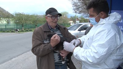 Процес вакцинації тварини