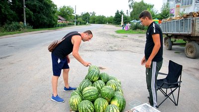 "Якщо стукаю і звучить — то солодкий": історія родини з Вінниччини, яка вирощує кавуни "Якщо стукаю і звучить — то солодкий": історія родини з Вінниччини, яка вирощує кавуни