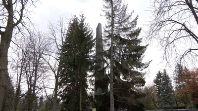 Ялини на меморіальному комплексі "Вічна слава" були сухими Ялини на меморіальному комплексі "Вічна слава" були сухими