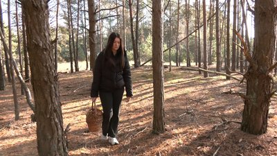 Іванна Мельник збирає гриби Іванна Мельник збирає гриби