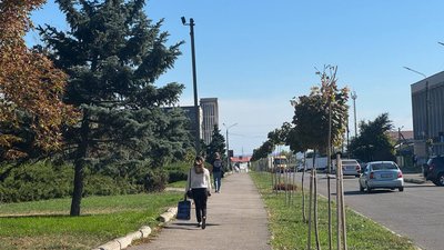Марганець, тендер, озеленення