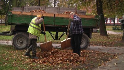 У Житомирі "Зеленбуд" щорічно переробляє від 30 до 50 тонн опалого листя