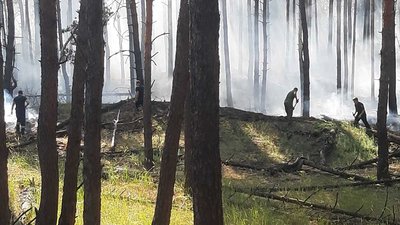 Надзвичайний рівень пожежної небезпеки оголосили на Полтавщині: які діють заборони