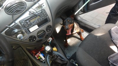 На кордоні з Польщею прикордонники виявили накотики у капсулі від шоколадного яйця На кордоні з Польщею прикордонники виявили накотики у капсулі від шоколадного яйця