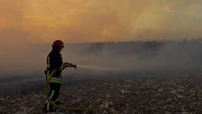 Рятувальник гасить вогонь