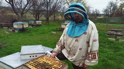 У селі на Кіровоградщині працює єдине в області підприємство, де виробляють органічний мед