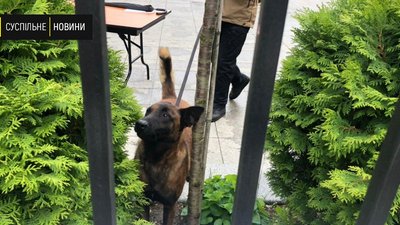 Зеленський скликає пресконференцію. Живий блог Зеленський скликає пресконференцію. Живий блог