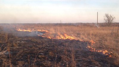 За добу на Житомирщині виникло 5 загорянь сухої рослинності За добу на Житомирщині виникло 5 загорянь сухої рослинності