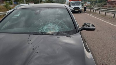 Автомобіль збив працівника дорожньої служби на Рівненщині — поліція